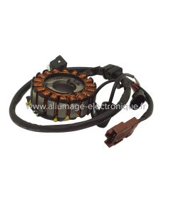 Stator alternateur GILERA NEXUS EURO3 IE 125 (2008-2010) - Marque : HYP - Référence d'origine : 58070R