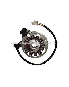 Stator alternateur MALAGUTI CIAK MASTER 50 (2004-2004) - Marque : DUCATI ENERGIA - Référence d'origine : 78202100