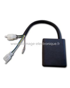 Boitier electronique digital CDI pour Honda VT1100C Shadow (1987-1996) - CD1905D