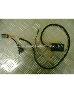 EFI009D  - ENDURO  - APRILIA  - Aprilia: Pegaso 660 Strada/Trail (2005-2011)  BMW: 650 F GS (2000-2009) 