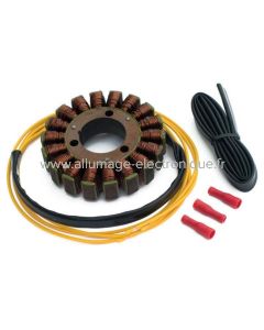 Stator Alternateur SUZUKI CS125, GS250 400 425 450 500 550 GSX250, RF400, AN650, GR650, GS650 Katana, GSX750, GT750, GS850, GS1000, GSX1100 - G01