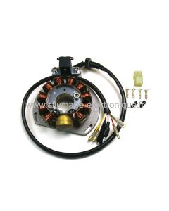 Alternateur - Stator - Allumage  Gas gas - KOKUSAN - EC125 - SM125 - EC200 - EC250 - SM250 - EC300 - Wild HP300 - G146