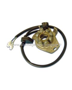 ST1197L - Stator d'allumage + éclairage complet  -  Honda: CR125 (97-98)