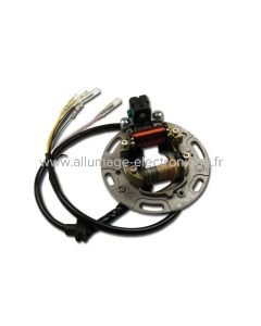 Stator d'allumage + eclairage complet  Kawasaki KX80, KX125, KX250 - ST3853L