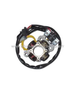 Stator allumage + eclairage Yamaha YZ450 (06 et + ), YZ450F - ST4458L