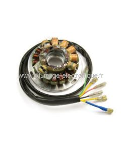 ST5051L  -  Stator d'allumage + eclairage complet  - remplacement direct de l'allumage SEM  - Pour tous les modèles équipés d'un allumage SEM sur platine.