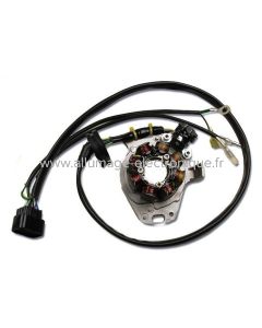 Stator d'allumage  pour Honda CR 250 (2000 - 2001) - ST1200