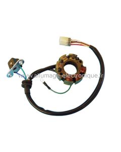 Stator allumage Suzuki RMZ 250 (2007 - 2009) - ST2475