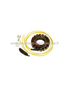 Stator Alternateur Honda VF700C, VFR700, NR750, VF750, VFR750, VF1000F/F2, VF1000R, VF1100C V65 - G14