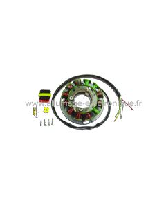 Alternateur - Stator - Allumage Vor 530  