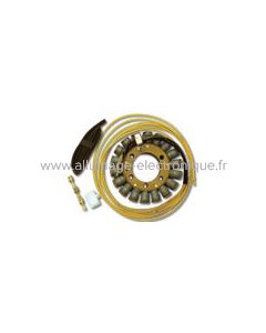 Stator Kawasaki ZX1200 Ninja (ZX-12R) (2000-2001) - G75